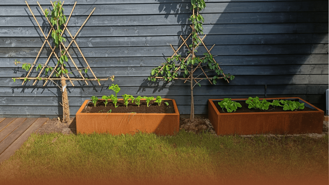 Waarom cortenstaal perfect is voor een moestuin